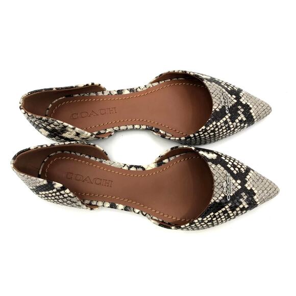Coach Women's Snakeskin D'Orsay Pointed Toe Flats Size 6 NEW - Picture 2 of 11